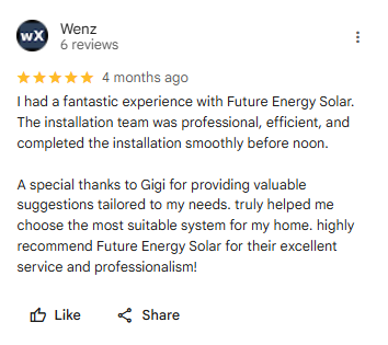 Wenz review